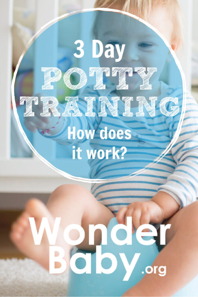 3 Day Potty Training How Does it Work?