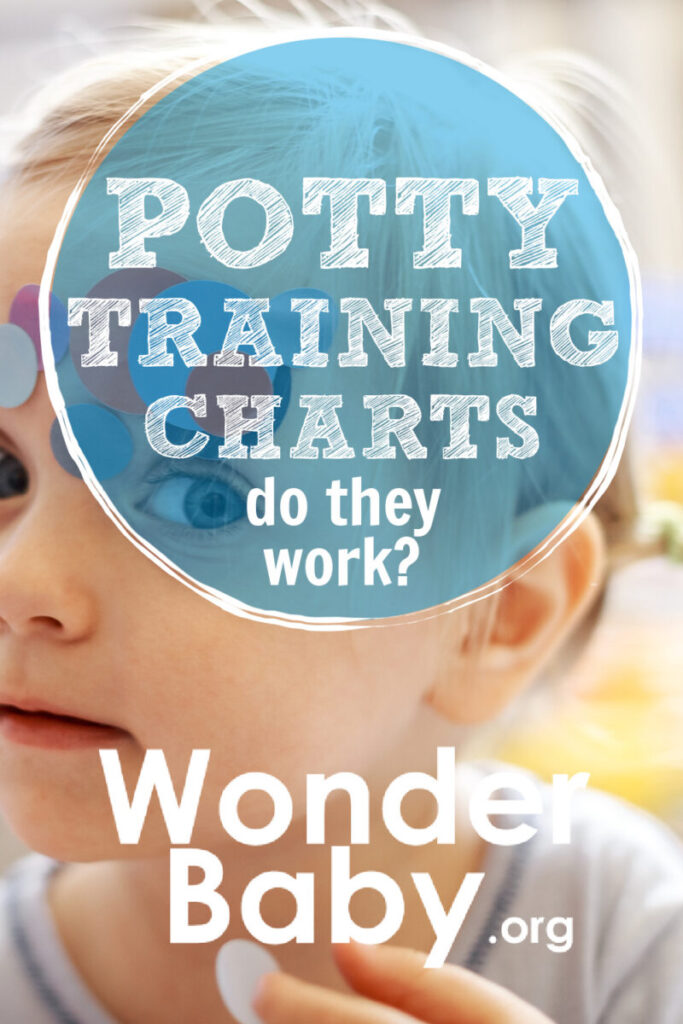 Potty Training Charts: Do They Work? | WonderBaby.org