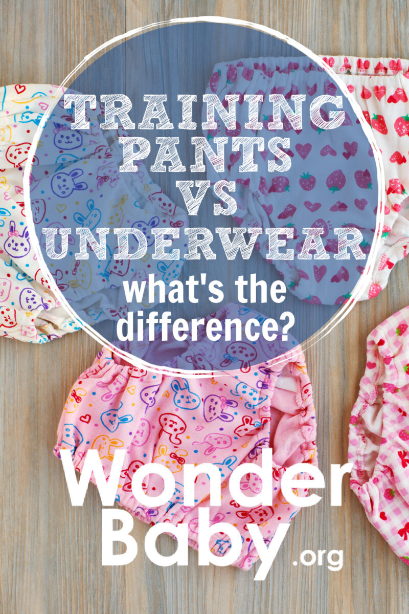 Need to Know Details About Training Pants  Gerber Childrenswear