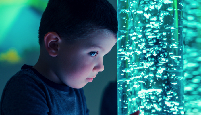 15 Items to Put in Your Sensory Room - Mrs. D's Corner