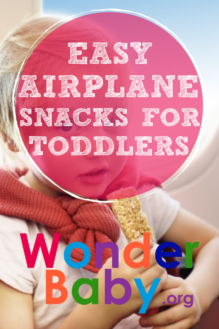 41 Easy Airplane Snacks For Toddlers WonderBaby Org   Easy Airplane Snacks For Toddlers Pin 768x1152 