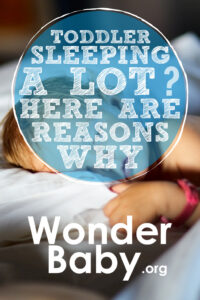 Toddler Sleeping a Lot? Here Are 3 Reasons Why | WonderBaby.org