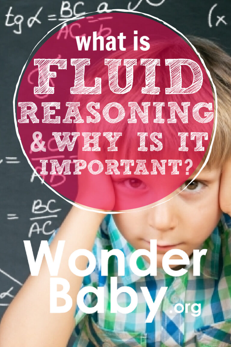 what-is-fluid-reasoning-and-why-is-it-important-wonderbaby