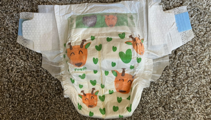 Parent's Choice Diapers Review