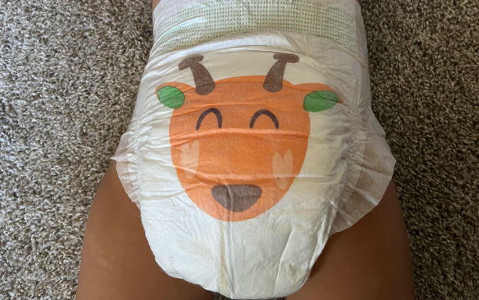 Parent's Choice Diapers Review