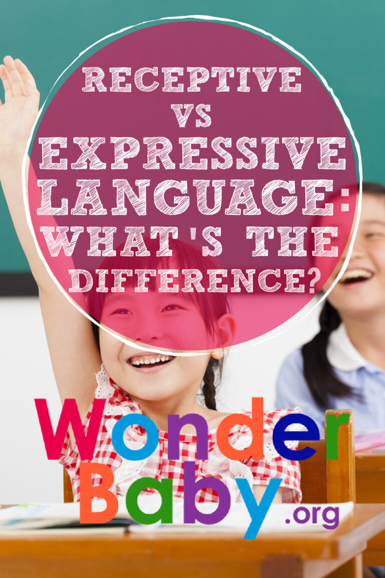 Receptive vs Expressive Language: What's the Difference? | WonderBaby.org