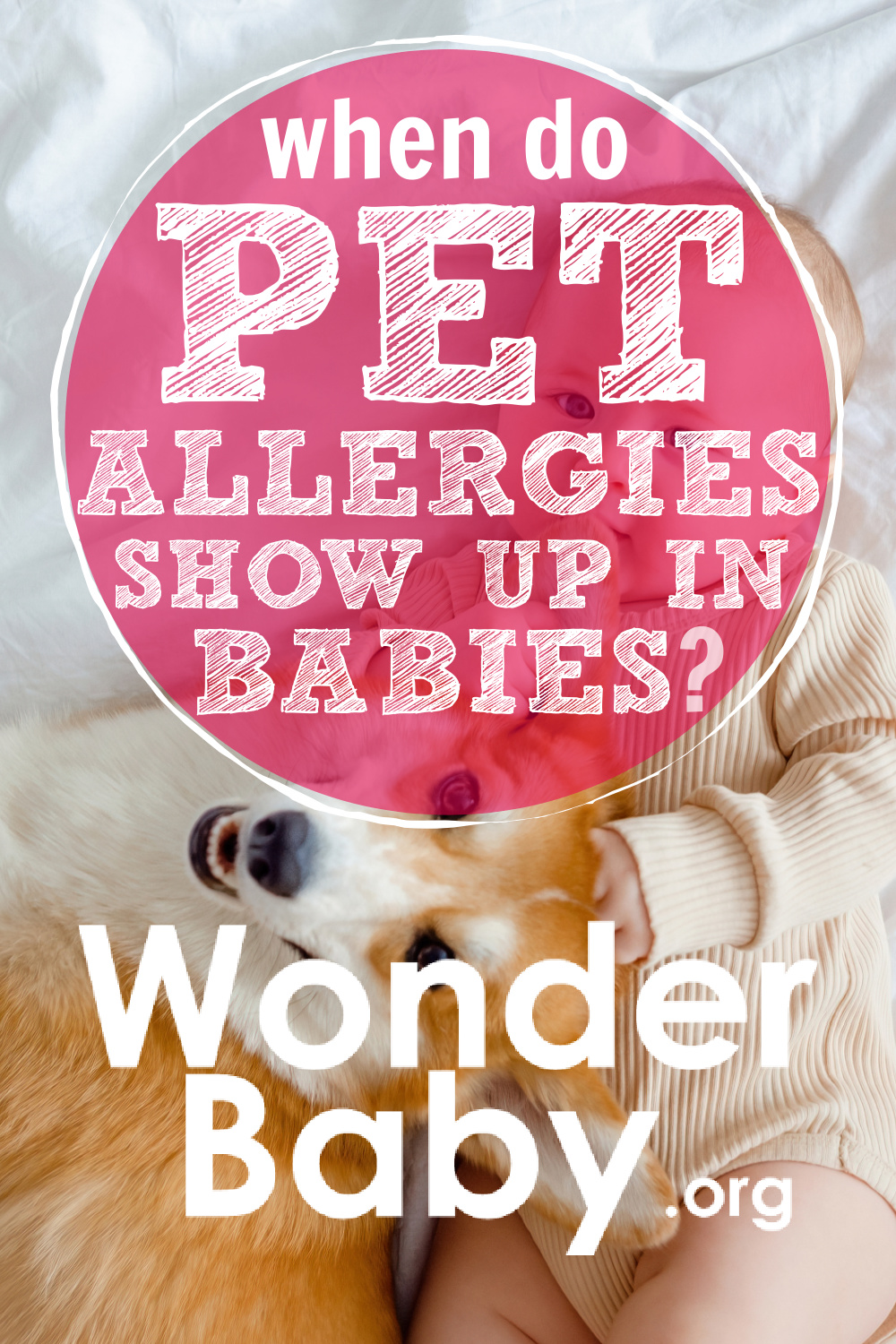 when-do-pet-allergies-show-up-in-babies-wonderbaby