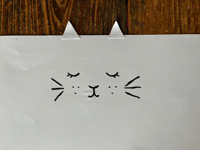 Drawing the face for the cat pencil holder craft.