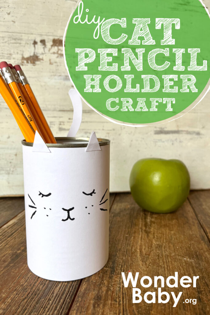 DIY Cat Pencil Holder Craft